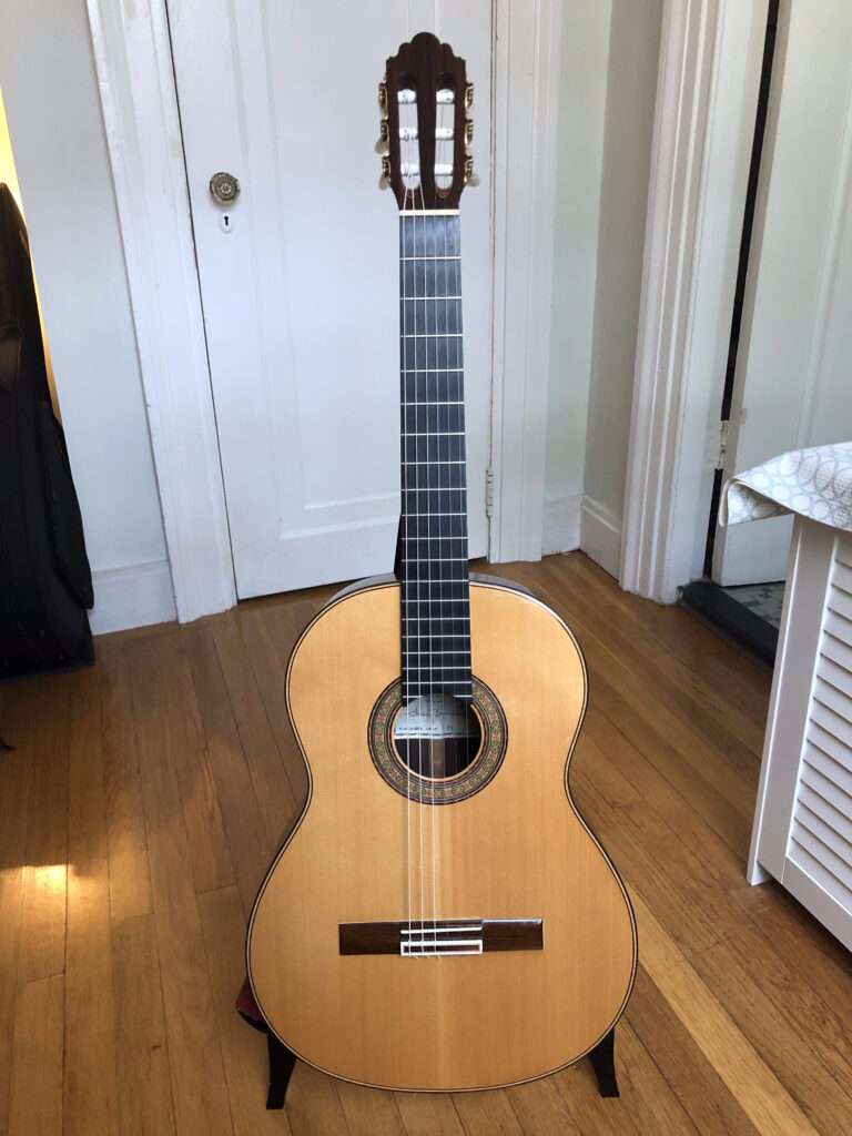 Greg Brandt front view - Guitar for Sale